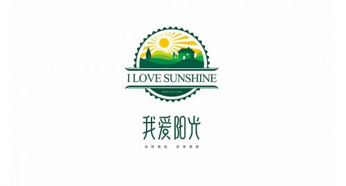 营销策划-企业品牌该怎样设计？